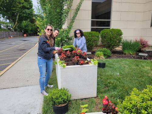 		                                		                                <span class="slider_title">
		                                    Beautifying the Synagogue grounds		                                </span>
		                                		                                
		                                		                            	                            	
		                            <span class="slider_description">We love our Volunteers!</span>
		                            		                            		                            